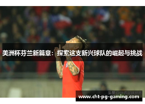 美洲杯芬兰新篇章：探索这支新兴球队的崛起与挑战