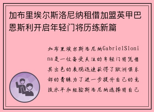 加布里埃尔斯洛尼纳租借加盟英甲巴恩斯利开启年轻门将历练新篇
